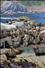 Hout Bay, Western Cape, South Africa